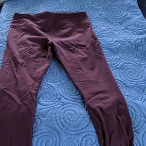 Beautiful Glyder leggings.